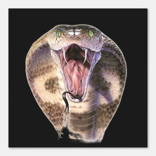 King Cobra Custom Color Black Tapete