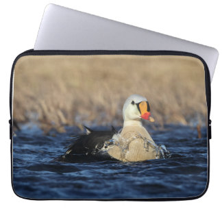 King Eider Bird Laptopschutzhülle