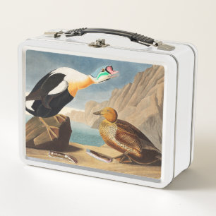 King Eider Duck von Birds of America (Audubon) Metall Brotdose