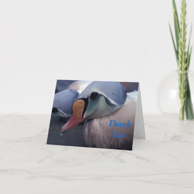 King Eidermännchen Danksagkarte Dankeskarte (Vorderseite)