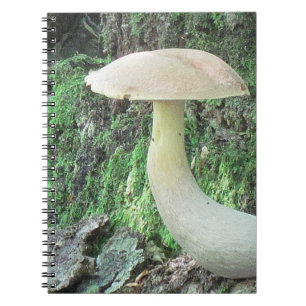 King-Mushroom-Notebook Notizblock
