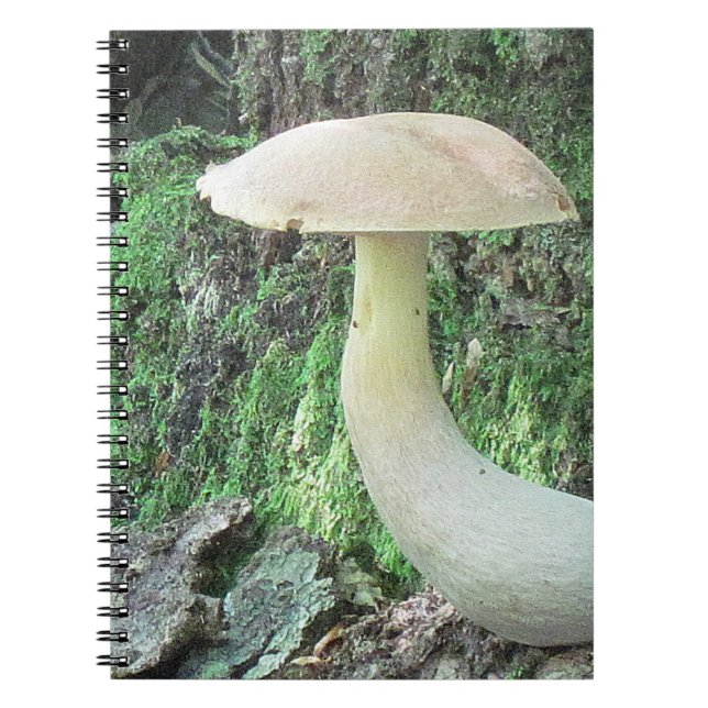 King-Mushroom-Notebook Notizblock (Vorderseite)