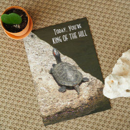 King of the Hill Turtle on Rock Nature Birthday Karte