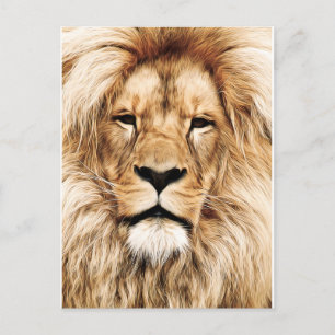 King of the Jungle Lion Post Card Postkarte