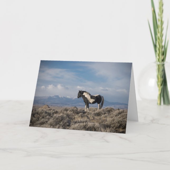 "King of the Mountain" Note Card Karte (Vorderseite)