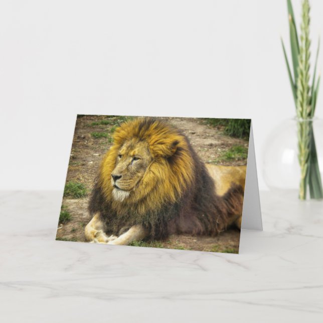 King of the Zoo Birthday Card Karte (Vorderseite)
