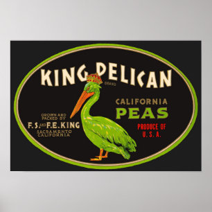 King Pelican California Poster