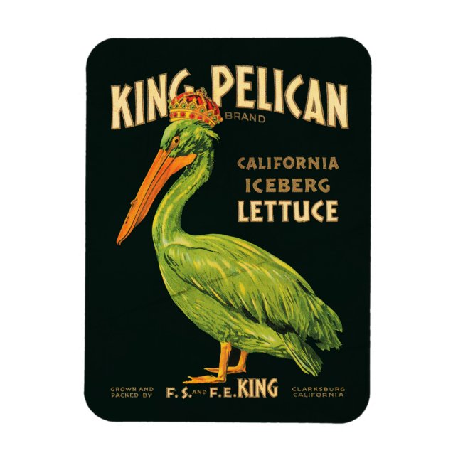 King Pelican Iceberg Lettuce Magnet (Vertikal)