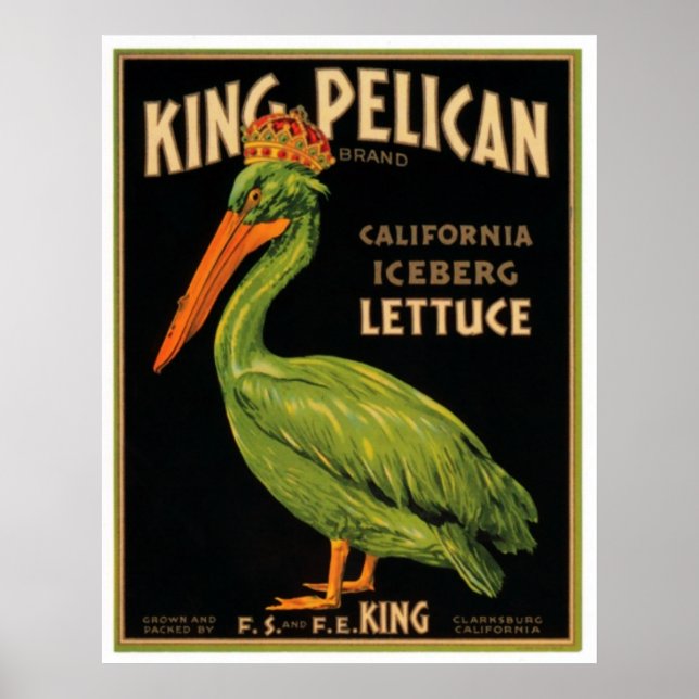King Pelican Lettuce Poster (Vorne)
