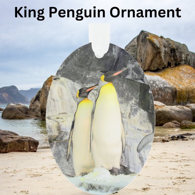 King Penguin - Acrylschmuck Ornament (Von Creator hochgeladen)