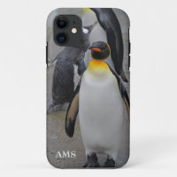 King Penguin & Friends Edinburgh Zoo Schottland