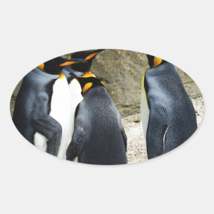 King Penguin Ovaler Aufkleber