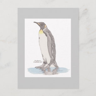 King Penguin Postcard Postkarte