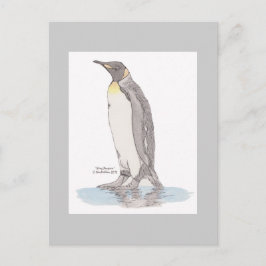 King Penguin Postcard Postkarte