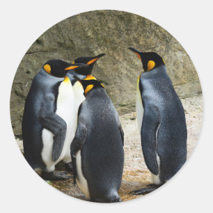 King Penguin Runder Aufkleber