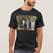 King Penguin