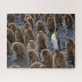 King Penguin und Young Chips in Südgeorgien Puzzle