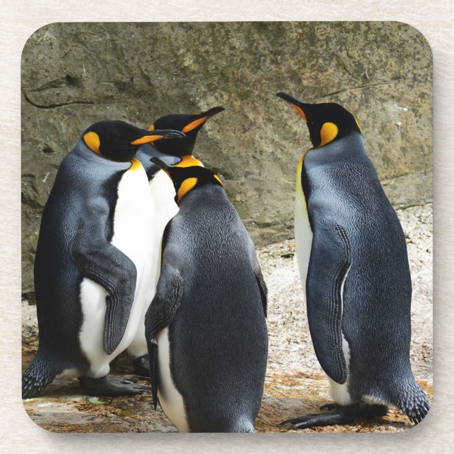 King Penguin Untersetzer (Vorderseite)