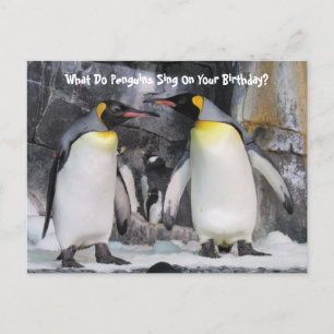 King Penguins Funny Birthday Postcard Postkarte