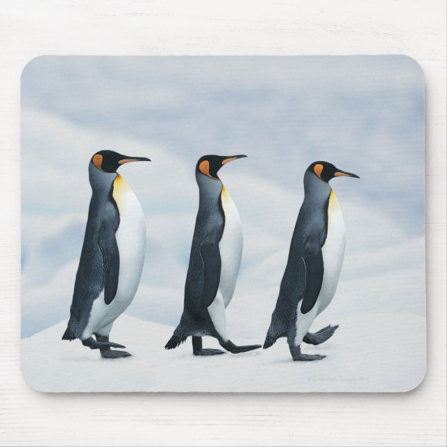 King Penguins gehen in Single-Datei Mousepad (Vorne)