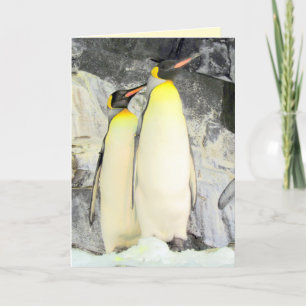 King Penguins Grußkarte Karte