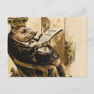 King Pig liest seine Zeitung Postkarte