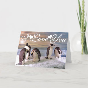 King Pinguine Foto Image I Liebe You Karte