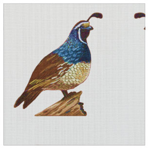 King Quail in Weiß Stoff