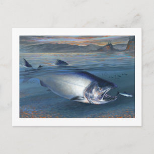 King Salmon Postcard Postkarte