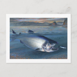 King Salmon Postcard Postkarte