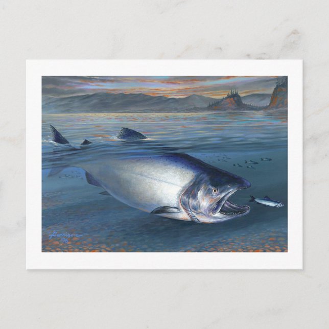 King Salmon Postcard Postkarte (Vorderseite)