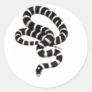 King Snake von Junglewalk.com Runder Aufkleber