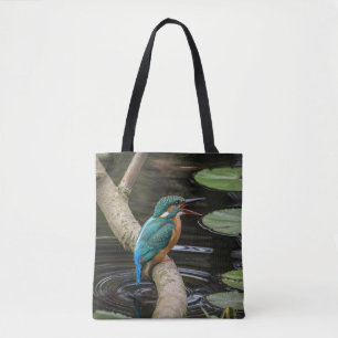 Kingfisher Bird