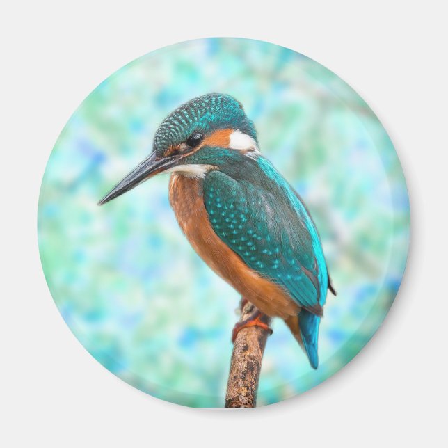 Kingfisher Bird Blue Abstrakt Magnet (Vorne)