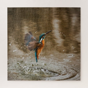 Kingfisher Bird Coming Out of Water Foto Puzzle