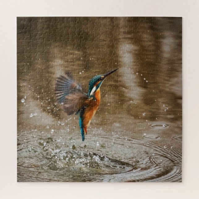 Kingfisher Bird Coming Out of Water Foto Puzzle (Vertikal)
