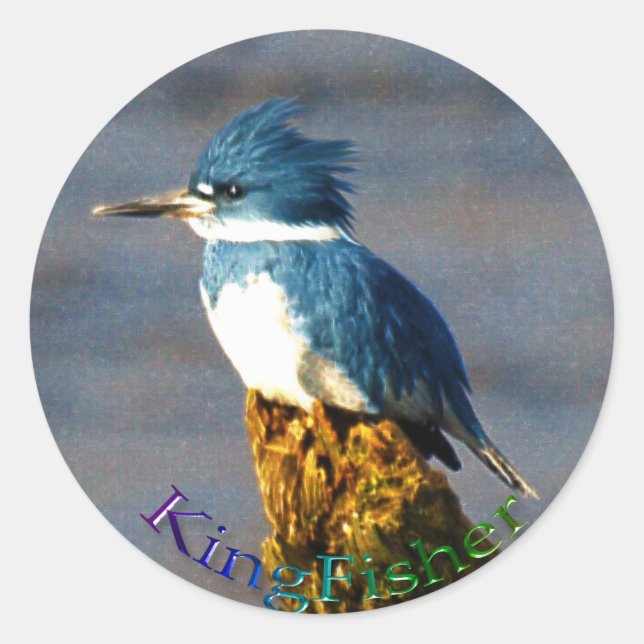 Kingfisher Bird Wildlife Sticker (Vorderseite)
