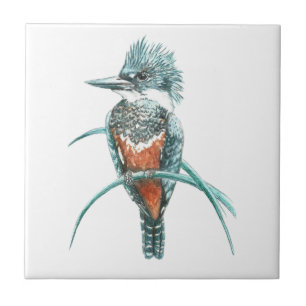 Kingfisher Bird Wilhelm Tell Fliese
