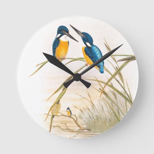 Kingfisher Birds Wildlife Animals Pond Runde Wanduhr (Vorderseite)