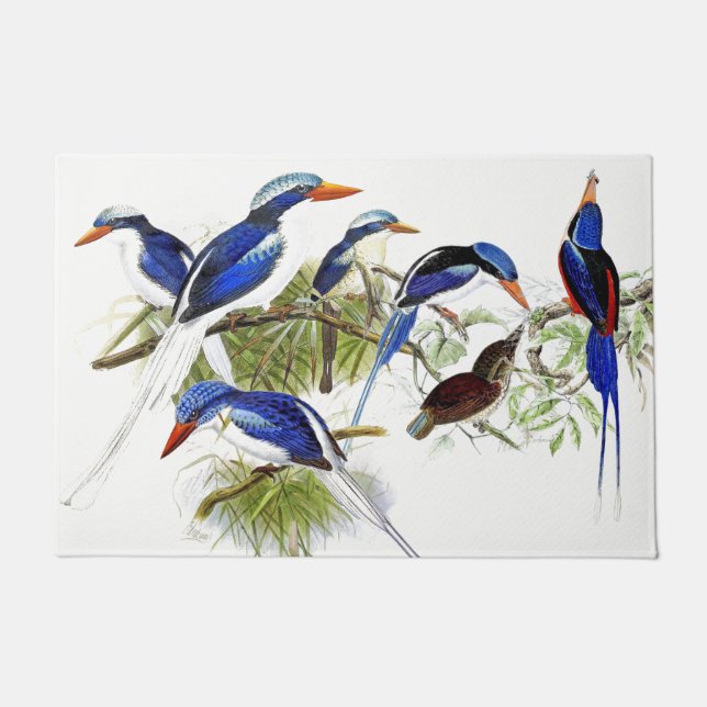 Kingfisher Birds Wildtiere Door Mat Fußmatte (Vorderseite)