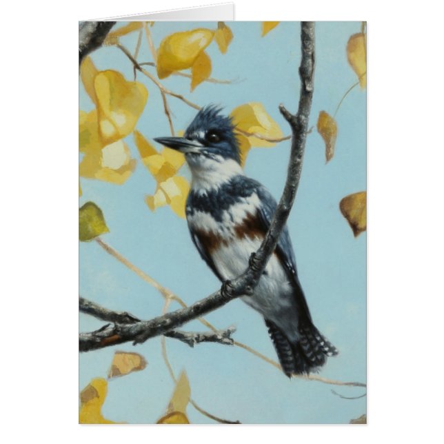 Kingfisher Blank Card von Andrew Denman (Vorne)