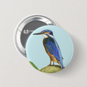 Kingfisher Button