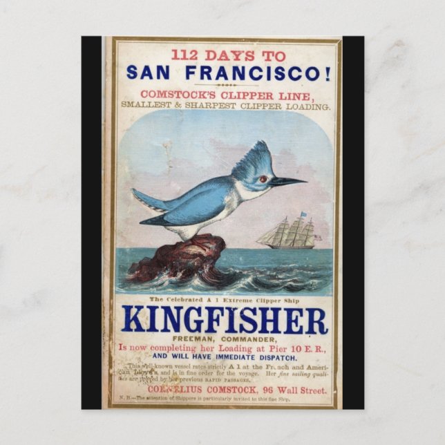 Kingfisher Clipper Segelschiff 1855 Postkarte (Vorderseite)