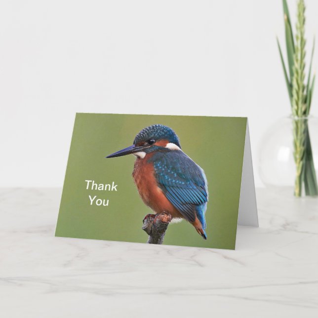 Kingfisher Dankeschön Karte (Vorderseite)