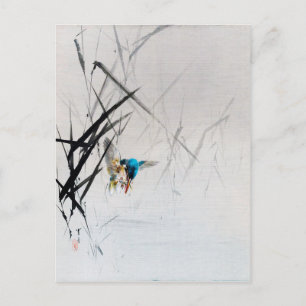 Kingfisher Fisch unter Roten, Seitei Postkarte