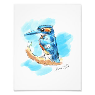 Kingfisher Fotodruck