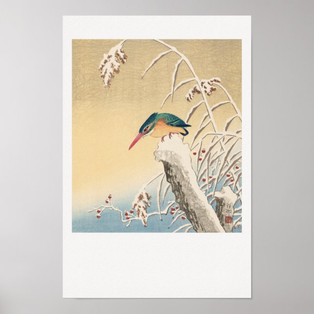 Kingfisher im Schnee Poster (Vorne)