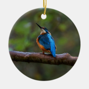 Kingfisher in einer Zweigniederlassung Keramik Ornament
