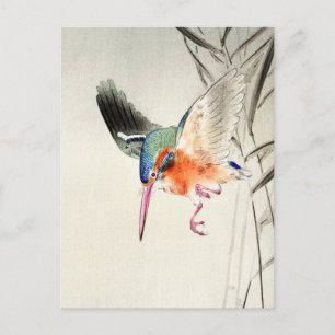 Kingfisher Jagd (vergrößert) - Ohara Koson - Postkarte