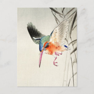 Kingfisher Jagd (vergrößert) - Ohara Koson - Postkarte